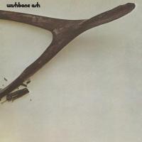 Виниловая пластинка Wishbone Ash / Wishbone ash (1LP)