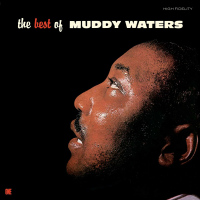 Виниловая пластинка Muddy Waters / The Best of Muddy Waters (чёрный винил) (1LP)