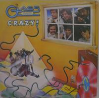 Виниловая пластинка FAMILY GLASS / CRAZY (1LP)