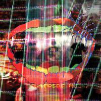 Виниловая пластинка Animal Collective / Centipede Hz (2LP)
