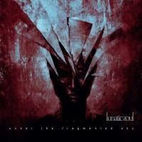 Виниловая пластинка Lunatic Soul / Under The Fragmented Sky (Clear) (1LP)