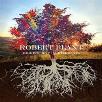 Компакт-диск Robert Plant / Digging Deep - Subterranea (Limited Edition)(2CD)