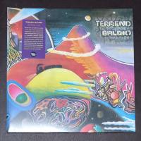 Виниловая пластинка TERRENO BALDIO / TERRENO BALDIO (1LP)
