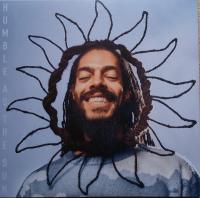 Виниловая пластинка Bob Vylan / Humble As The Sun (Blue/White Marble Vinyl) (1LP)