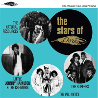 Виниловая пластинка Various Artists / The stars of dor? ~ los angeles' soul group sound (1LP)