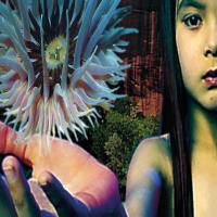 Виниловая пластинка The Future Sound Of London / Lifeforms (2LP)