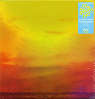 Виниловая пластинка Beach Boys / Sounds of Summer: the Very Best of (6LP)