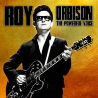 Виниловая пластинка Roy Orbison / THE POWERFUL VOICE (1LP)