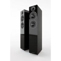 Напольная акустика Acoustic Energy AE309 (2018) Piano Gloss Black