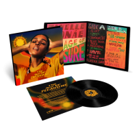 Виниловая пластинка JANELLE MONAE / The Age Of Pleasure (1LP)