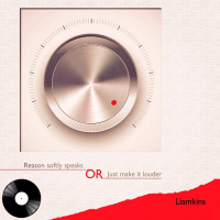 Виниловая пластинка Юрий Лямкин / REASON SOFTLY SPEAKS OR JUST MAKE IT LOUDER (2LP)