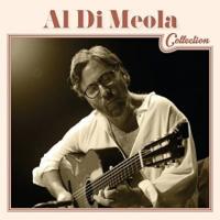 Компакт-диск Al Di Meola / Collection (Jewel) (1CD)