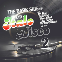 Виниловая пластинка VARIOUS ARTISTS / The Dark Side Of Italo Disco 2 (LP)
