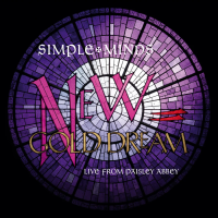 Виниловая пластинка Simple Minds / New Gold Dream: Live From Paisley Abbey (Red & Black Marbled Vinyl) (1LP)
