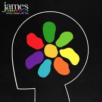 Виниловая пластинка James / All the colours of you (2LP)
