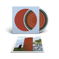 Виниловая пластинка George Harrison / Wonderwall Music (picture) (1LP)