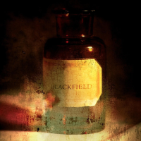 Виниловая пластинка Blackfield / Blackfield (20th Anniversary) (Orange Marble) (1LP)