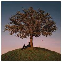 Виниловая пластинка Slowthai / Tyron