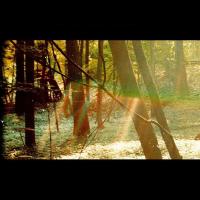 Виниловая пластинка CHILDISH GAMBINO / CAMP (2LP)