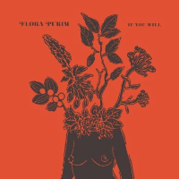 Виниловая пластинка Flora Purim / If You Will (Clear, Limited) (LP) Виниловая пластинка Flora Purim / If You Will (Clear, Limited) (LP)