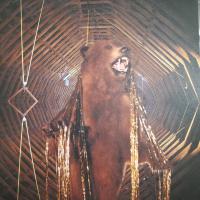 Виниловая пластинка My Morning Jacket / It Still Moves (Gold Smoke) (2LP)