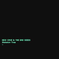 Компакт-диск Nick Cave & The Bad Seeds / Skeleton Tree (RU)(CD)