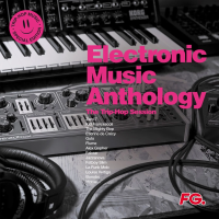 Виниловая пластинка Electronic Music Anthology / The Trip Hop Session (2LP)