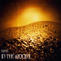 Компакт-диск In The Woods / Omnio (Jewel) (1CD)