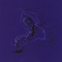 Виниловая пластинка Polar Bear / Dim Lit (2LP)