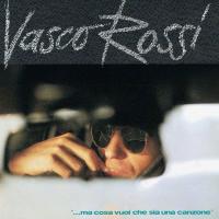Виниловая пластинка Vasco Rossi / ...Ma Cosa Vuoi Che Sia Una Canzone... (LP)