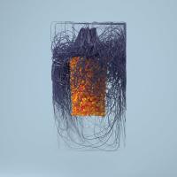 Виниловая пластинка Plaid / Polymer (2LP)