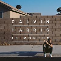 Виниловая пластинка Calvin Harris / 18 Months (2LP)