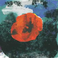 Виниловая пластинка Mystic Braves / The great unknown (1LP)