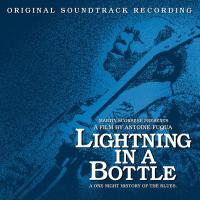 Компакт-диск Сборник / Lightning In A Bottle - A One Night History Of The Blues (2CD)