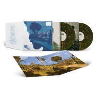 Виниловая пластинка Zayn / Room Under the Stairs (Forest Green Vinyl) (2LP)