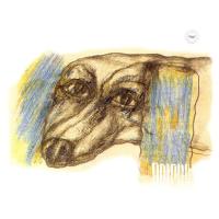 Виниловая пластинка Дельфин / Звезда (2lp) Виниловая пластинка Дельфин / Звезда (2lp)