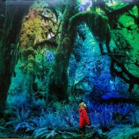 Виниловая пластинка JACCO GARDNER / CABINET OF CURIOSITIES (1LP)