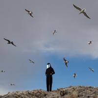 Виниловая пластинка Hamerkop / Remote (1LP)