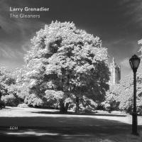 Компакт-диск Larry Grenadier / The Gleaners (CD)