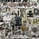 Компакт-диск Mushroomhead / A Wonderful Life (RU)(CD)