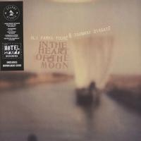 Виниловая пластинка ALI FARKA TOURE & TOUMANI DIAB / IN THE HEART OF THE MOON (2LP)