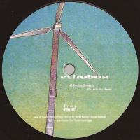 Виниловая пластинка ECHOBOX / DIVINATION REMIX (1LP)