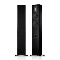 Напольная акустика Piega Premium 701 AB