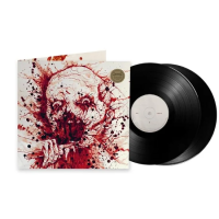 Виниловая пластинка Shining / Shining (2LP)