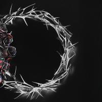 Виниловая пластинка The Rose / Dual (Dusk Version) (1LP)