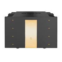Усилитель мощности Accustic Arts AMP VI black-gold edition