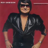 Виниловая пластинка ROY ORBISON / Laminar Flow (Bloody Mary) (1LP)