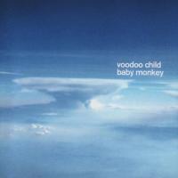 Компакт-диск Moby And Voodoo Child / Baby Monkey (RU)(CD)