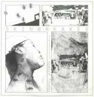 Виниловая пластинка Howard Thomas / Skin Breaker  (2LP)
