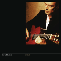 Виниловая пластинка Steve Hackett / Tribute (Vinyl Re-Issue 2024) (1LP) Виниловая пластинка Steve Hackett / Tribute (Vinyl Re-Issue 2024) (1LP)
